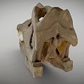 Well Preserved Dinosaur Skull Of Prehistoric Reptile With Sharp Teeth And Bone Structure