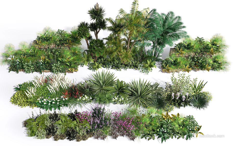 Arbor Collection Featuring Tropical Palm Trees Shrubs Ferns And Flowering Plants 3d model 