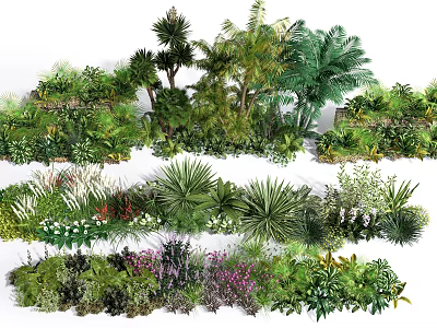 Arbor Collection Featuring Tropical Palm Trees Shrubs Ferns And Flowering Plants 3d model
