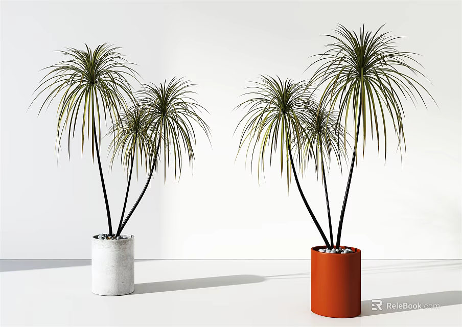 Indoor Potted Plants With Long Slender Leaves Black Trunks And White Orange Cylindrical Pots 3d model 