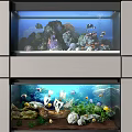 Aquarium Fish Tank With Corals Rocks Colorful Fish Model Sailboat And Aquatic Plants
