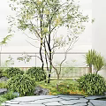Lush Courtyard Garden With Tall Trees Green Plants Bushes Rocks And Wooden Fence