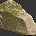 Natural Stone Wood With Moss Covered Surface And Rough Texture 3d model