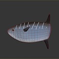 Fish Freshwater Fish Sea Fish Animal Game Animal Cartoon Animal Realistic Animal 3d model