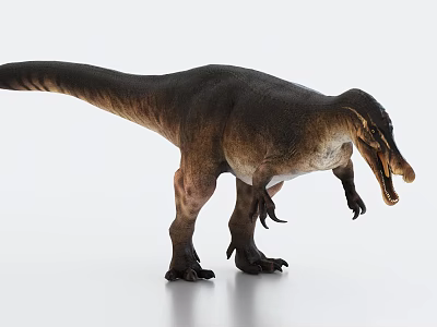Realistic Dinosaur Model Standing On White Background 3d model