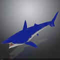 Realistic Shiny Blue Shark Model Displaying Open Mouth and Sharp Teeth 3d model