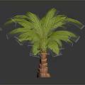 Four Palm Trees With Green Leaves And Brown Trunks On Gray Background With Reflective Surface