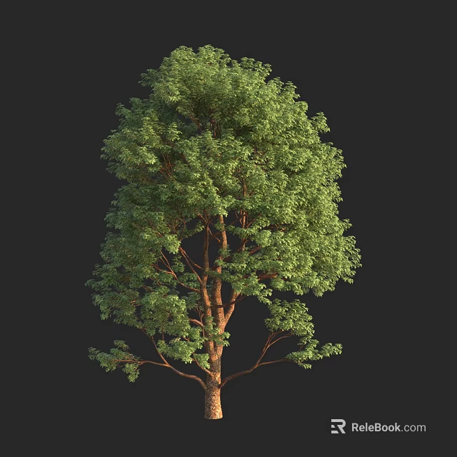 Lush Green Arbor with Dense Foliage and Brown Trunk Structure 3d model 