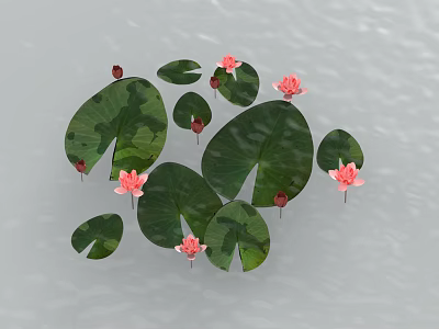 Pink Lotus Flowers With Red Buds And Green Lily Pads On Water Surface 3d model