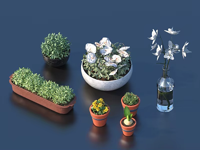 Bonsai and Potted Plants with Green Shrubs White Flowers Long Pots Small Planters Transparent Vase 3d model