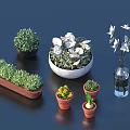 Bonsai and Potted Plants with Green Shrubs White Flowers Long Pots Small Planters Transparent Vase