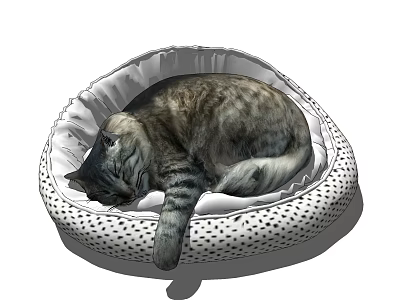 Reptile Resting Comfortably In White Polka Dot Bed At Home 3d model