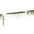 Lush Green Vines Climbing And Trailing Along Garden Fence With Vibrant Foliage