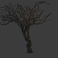 Dry Tree Trunk With Twisted Leafless Branches And Rough Bark 3d model