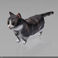 Gray And White Striped Chubby Cat With Large Round Yellow Eyes On Black Reflective Background