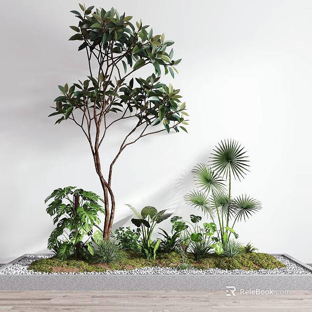Indoor Arbor With Brown Trunk Lush Green Leaves Surrounded By Tropical Plants And Mossy Pebbles 3d model 