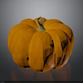 Fresh Orange Pumpkin with Shiny Smooth Surface on Dark Reflective Background