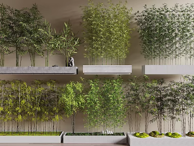 Various Bamboo Types Displayed on Shelves with Lush Green Foliage and Different Heights 3d model