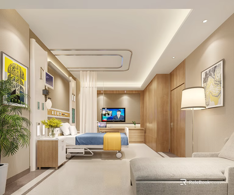 Comfortable Modern Hospital Patient Room With Bed TV Plant Sofa And Decorative Art 3d model 