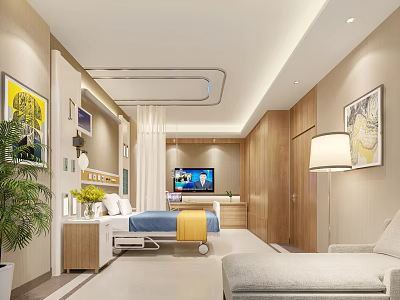 Comfortable Modern Hospital Patient Room With Bed TV Plant Sofa And Decorative Art 3d model