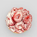 Delicious Raspberry Tart with Sweet Powdered Sugar Topping and Golden Crust