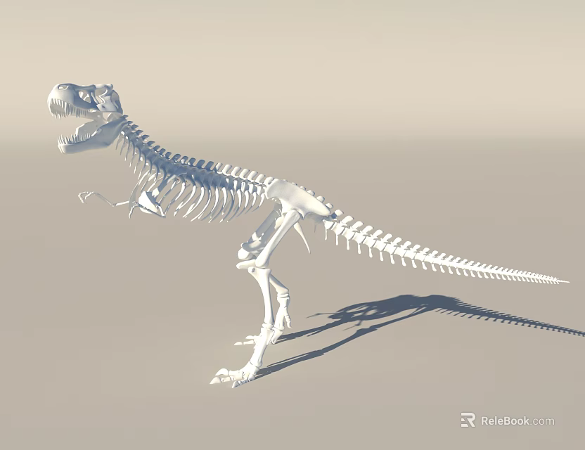 Public Facility Museum Display With Life Size Dinosaur Skeleton Structure 3d model 