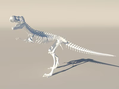 Public Facility Museum Display With Life Size Dinosaur Skeleton Structure 3d model