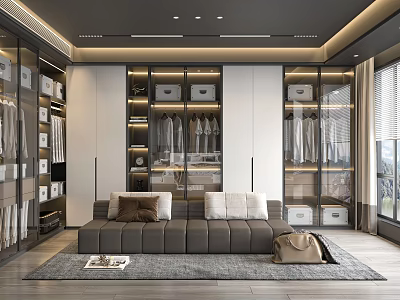Modern Walk In Closet Interior With Glass Wardrobes Sofa And Decor 3d model