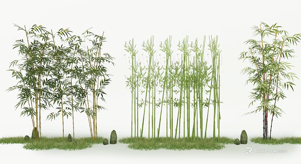 Tall Green Bamboo Plants In Lush Outdoor Landscape With Grass And Natural Stones 3d model 