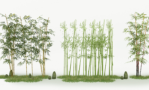 Bamboo 3d model