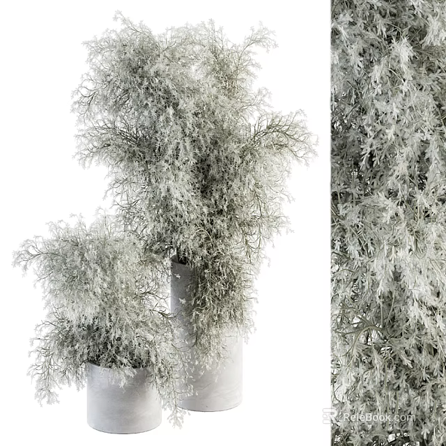 Small Bonsai Plant With Lush Green Leaves In Modern Ceramic Pot For Indoor Decor 3d model 