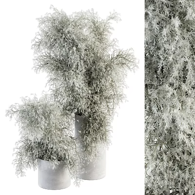 Small Bonsai Plant With Lush Green Leaves In Modern Ceramic Pot For Indoor Decor 3d model