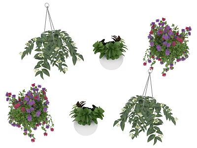 Potted Bonsai Plants with Various Hanging Pots Colorful Flowers and Green Leaves 3d model