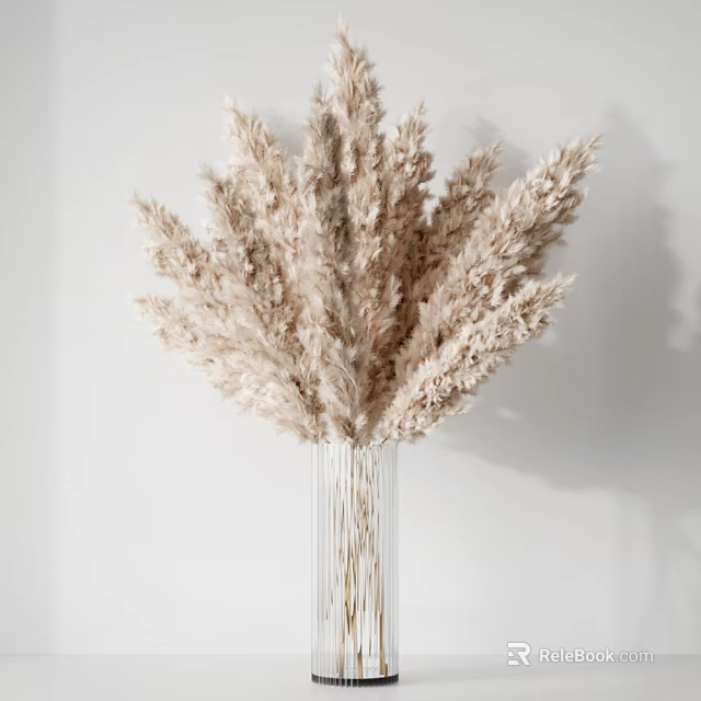 Transparent Glass Vase With Light Beige Pampas Grass On White Background 3d model 