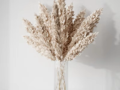 Transparent Glass Vase With Light Beige Pampas Grass On White Background 3d model