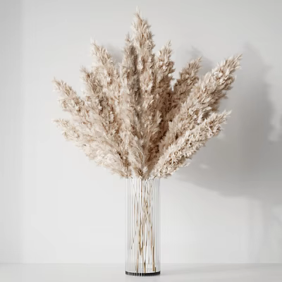 Transparent Glass Vase With Light Beige Pampas Grass On White Background 3d model