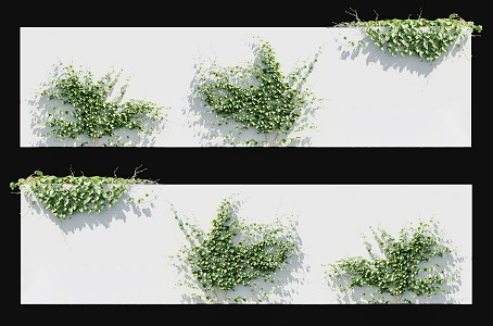 Modern Chinese Medicine Deer Hui Vine Plant Chinese Herbal Medicine Vine Climbing Wall Plant Climbing Vine Green Plant Parthenocissus Vine Plant Green Plant Wall Vine 3d model