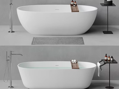 Modern Freestanding Bathtub In Minimalist Bathroom With Fixtures And Accessories 3d model