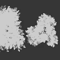 Heart Shaped Trees With Purple Flowers And Green Leaves In Three Sizes