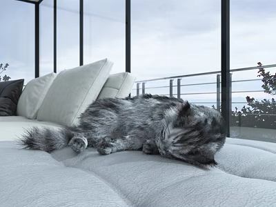 Bright Living Dining Room Interior With Soft Sofa Glass Walls Railing And Outdoor View 3d model