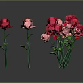 Red and Pink Roses Displayed As Single Stem And Bunch With Green Stems And Leaves