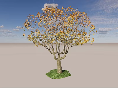 Elegant Arbor Tree With Golden Yellow Leaves On Green Grass Under Blue Sky 3d model