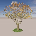 Elegant Arbor Tree With Golden Yellow Leaves On Green Grass Under Blue Sky