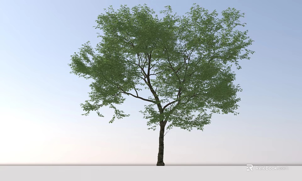 Lush Green Arbor With Thick Trunk Standing Against Clear Blue Sky 3d model