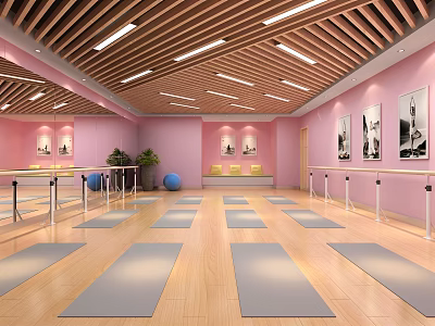 Yoga Fitness Studio With Pink Walls Wooden Floors Yoga Mats And Ballet Barres 3d model