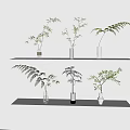 Decorative Vases With Lush Green Plants On White Display Shelf