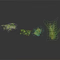 Four Different Green Plants With Various Leaf Shapes And Heights On Dark Background With Reflections