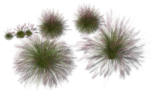 Modern Grass 3d model