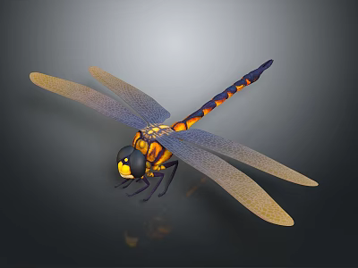Vibrant Yellow and Orange Dragonfly with Black Striped Abdomen Compound Eyes and Transparent Wings 3d model