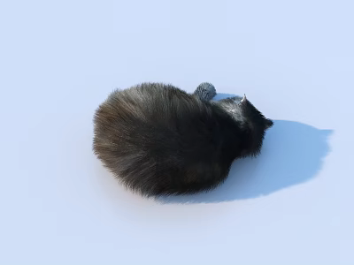 Curled Reptile With Gray Black Skin Resting On Light Blue Background Surface 3d model